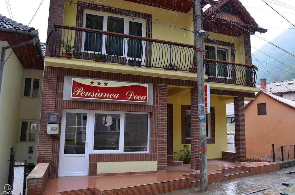 Pensiunea Deea Băile Herculane Exterior foto